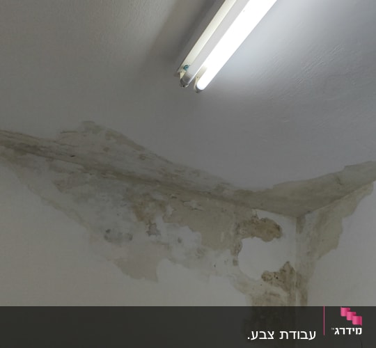 תקרה עם כתמי רטיבות ונזקי צבע